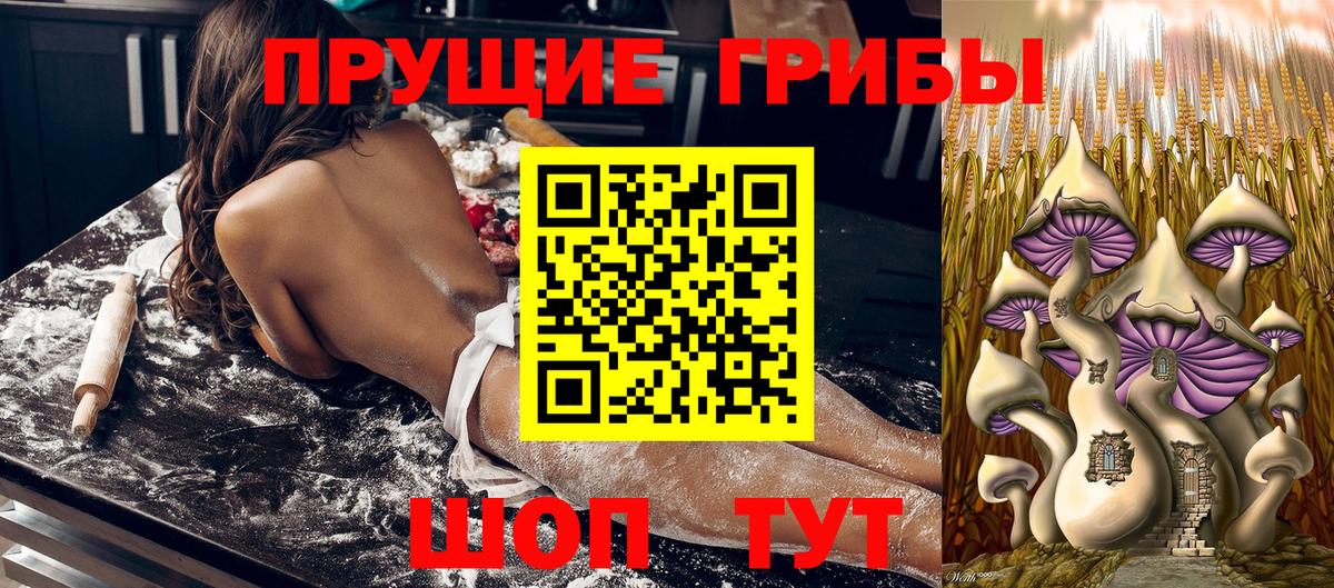 Псилоцибиновые грибы GOLDEN TEACHER  Вход с VPN  Жигулёвск 
