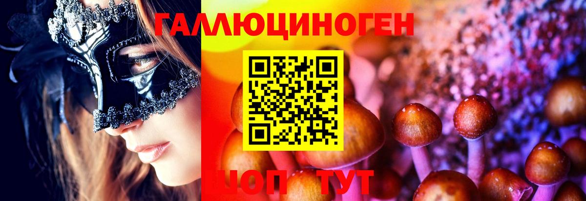 Псилоцибиновые грибы мицелий Жигулёвск
